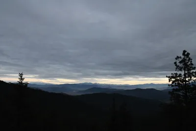 DSC_0134 (Large).JPG